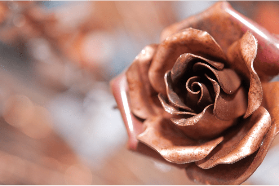 Copper Rose