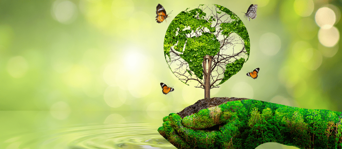 Environmetal Policy Banner